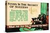 Study Of The Secret Of Success-Robert Beebe-Stretched Canvas