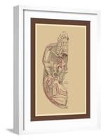 Study of the Skull-null-Framed Art Print