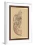 Study of the Skull-null-Framed Art Print