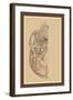 Study of the Skull-null-Framed Art Print