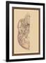 Study of the Skull-null-Framed Art Print