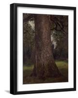 Study of the Trunk of an Elm Tree, circa 1821-John Constable-Framed Giclee Print