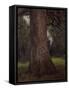 Study of the Trunk of an Elm Tree, circa 1821-John Constable-Framed Stretched Canvas