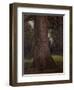 Study of the Trunk of an Elm Tree, circa 1821-John Constable-Framed Giclee Print