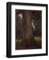 Study of the Trunk of an Elm Tree, circa 1821-John Constable-Framed Giclee Print