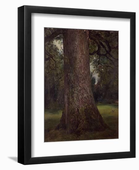 Study of the Trunk of an Elm Tree, circa 1821-John Constable-Framed Giclee Print