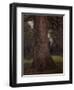 Study of the Trunk of an Elm Tree, circa 1821-John Constable-Framed Giclee Print