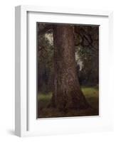 Study of the Trunk of an Elm Tree, circa 1821-John Constable-Framed Giclee Print