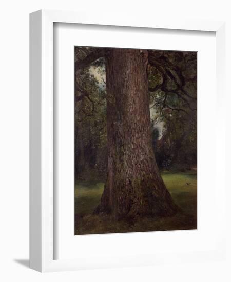 Study of the Trunk of an Elm Tree, circa 1821-John Constable-Framed Giclee Print