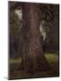Study of the Trunk of an Elm Tree, circa 1821-John Constable-Mounted Giclee Print