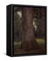 Study of the Trunk of an Elm Tree, circa 1821-John Constable-Framed Stretched Canvas