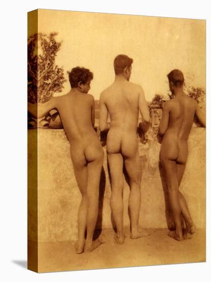 Study of Three Male Nudes, Sicily, C.1900-Wilhelm Von Gloeden-Stretched Canvas