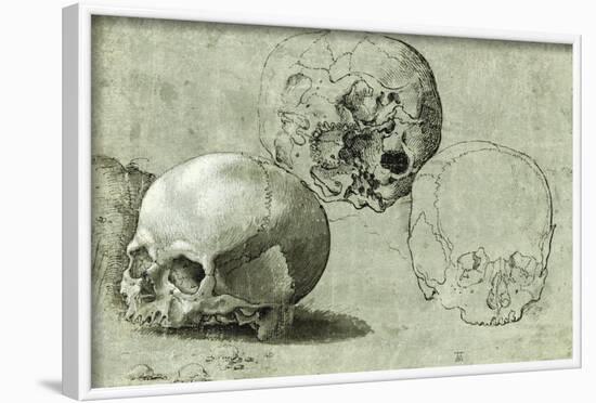 Study of Three Skulls-null-Framed Art Print