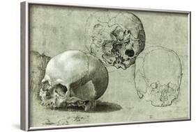 Study of Three Skulls-null-Framed Art Print