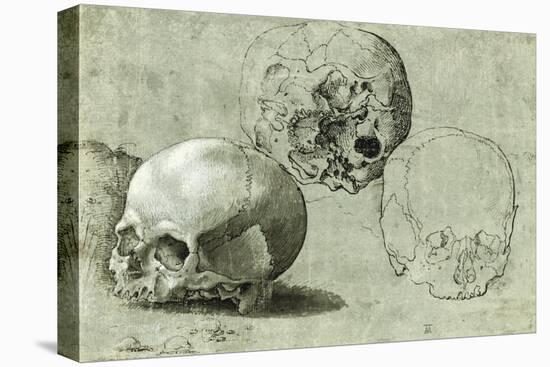 Study of Three Skulls-null-Stretched Canvas