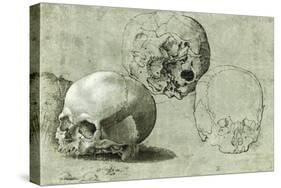 Study of Three Skulls-null-Stretched Canvas