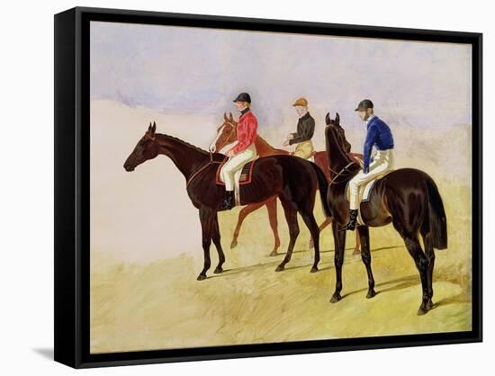 Study of Three Steeplechase Cracks: Allen Mcdonough on Brunette, Tom Oliver on Discount-John Frederick Herring I-Framed Stretched Canvas