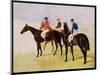 Study of Three Steeplechase Cracks: Allen Mcdonough on Brunette, Tom Oliver on Discount-John Frederick Herring I-Mounted Giclee Print