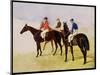 Study of Three Steeplechase Cracks: Allen Mcdonough on Brunette, Tom Oliver on Discount-John Frederick Herring I-Mounted Giclee Print