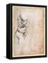 Study of Torso and Buttock-Michelangelo Buonarroti-Framed Stretched Canvas