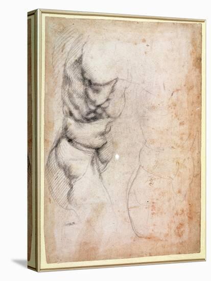Study of Torso and Buttock-Michelangelo Buonarroti-Stretched Canvas