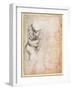 Study of Torso and Buttock-Michelangelo Buonarroti-Framed Giclee Print