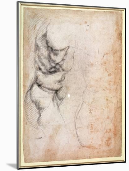 Study of Torso and Buttock-Michelangelo Buonarroti-Mounted Giclee Print