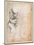 Study of Torso and Buttock-Michelangelo Buonarroti-Mounted Giclee Print