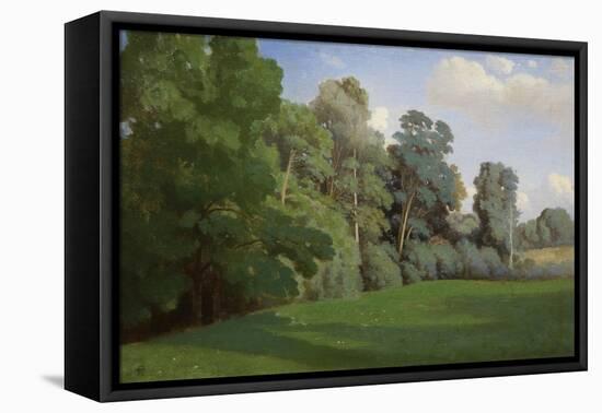 Study of Trees at Mortefontaine-Theodore Caruelle D' Aligny-Framed Stretched Canvas