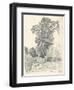 Study of Trees, C1839-1898, (1898)-Henri-Joseph Harpignies-Framed Giclee Print
