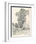 Study of Trees, C1839-1898, (1898)-Henri-Joseph Harpignies-Framed Giclee Print