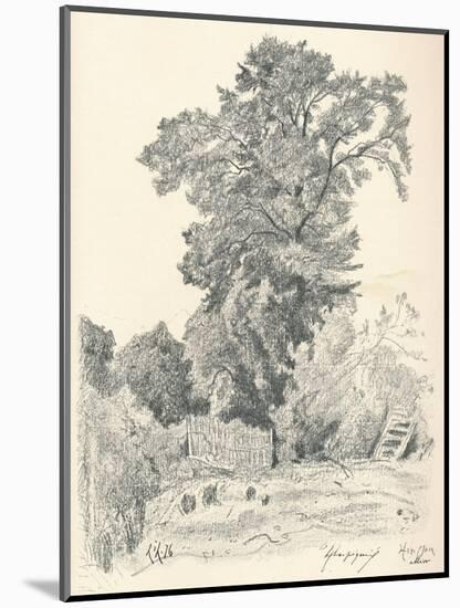 Study of Trees, C1839-1898, (1898)-Henri-Joseph Harpignies-Mounted Giclee Print