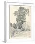 Study of Trees, C1839-1898, (1898)-Henri-Joseph Harpignies-Framed Giclee Print