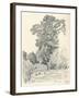 Study of Trees, C1839-1898, (1898)-Henri-Joseph Harpignies-Framed Giclee Print