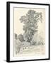 Study of Trees, C1839-1898, (1898)-Henri-Joseph Harpignies-Framed Giclee Print