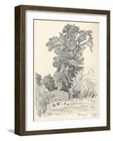 Study of Trees, C1839-1898, (1898)-Henri-Joseph Harpignies-Framed Giclee Print