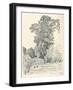 Study of Trees, C1839-1898, (1898)-Henri-Joseph Harpignies-Framed Giclee Print