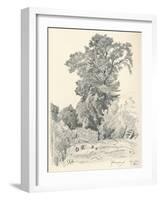 Study of Trees, C1839-1898, (1898)-Henri-Joseph Harpignies-Framed Giclee Print