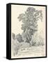 Study of Trees, C1839-1898, (1898)-Henri-Joseph Harpignies-Framed Stretched Canvas