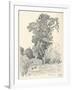 Study of Trees, C1839-1898, (1898)-Henri-Joseph Harpignies-Framed Giclee Print