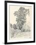 Study of Trees, C1839-1898, (1898)-Henri-Joseph Harpignies-Framed Giclee Print