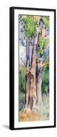 Study of Trees, C1842-1899-Rosa Bonheur-Framed Premium Giclee Print