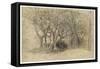 Study of Trees, Clovelly Park, 1834-Samuel Palmer-Framed Stretched Canvas