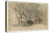 Study of Trees, Clovelly Park, 1834-Samuel Palmer-Stretched Canvas