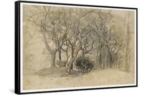 Study of Trees, Clovelly Park, 1834-Samuel Palmer-Framed Stretched Canvas