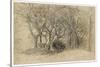 Study of Trees, Clovelly Park, 1834-Samuel Palmer-Stretched Canvas