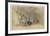 Study of Trees, Clovelly Park, 1834-Samuel Palmer-Framed Premium Giclee Print