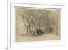 Study of Trees, Clovelly Park, 1834-Samuel Palmer-Framed Giclee Print