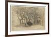 Study of Trees, Clovelly Park, 1834-Samuel Palmer-Framed Giclee Print