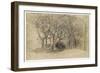 Study of Trees, Clovelly Park, 1834-Samuel Palmer-Framed Giclee Print